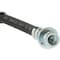Centric Parts Brake Hose, 150.62343 150.62343 - alternate 3